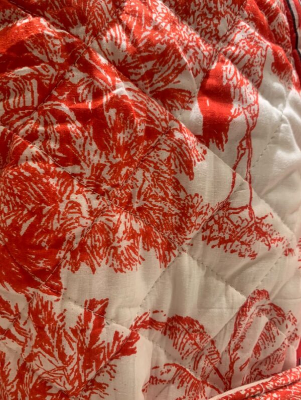 462566707 1735873133925214 9166364807558462660 n